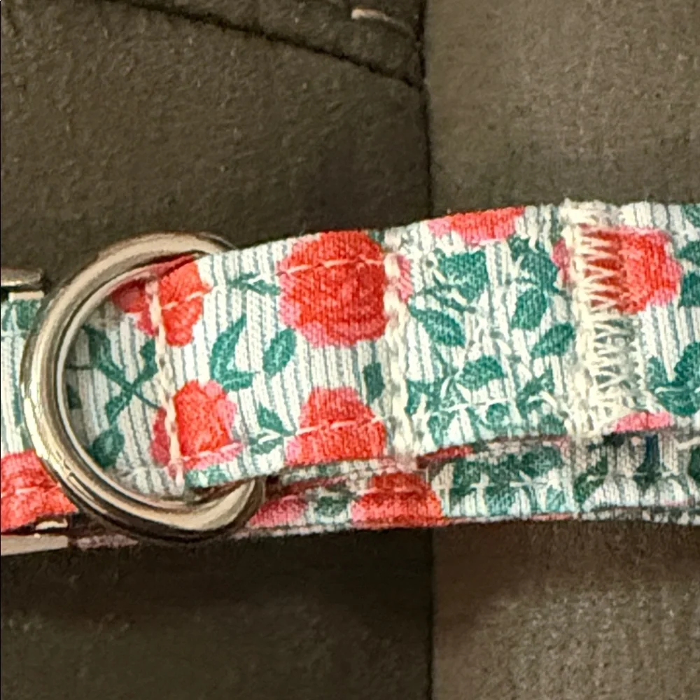 Lionet Paws Floral Dog Collar 10-16”